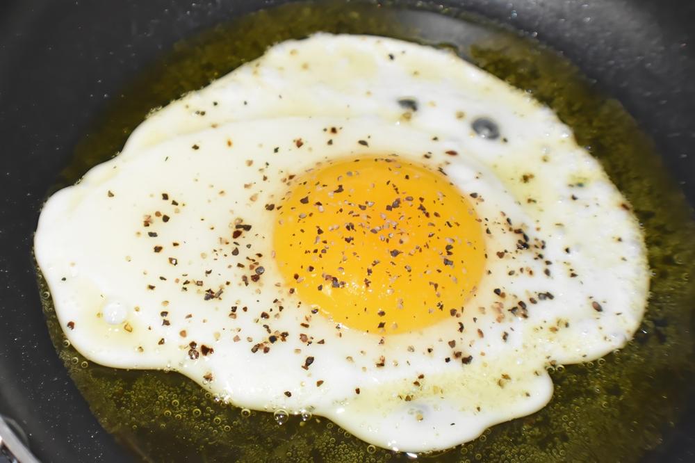 Protein meal